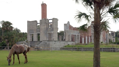 A wild horse grazes next to the ruins of the Dungeness mansion on Cumberland Island, Camden County, Georgia, Sept. 20, 2008.