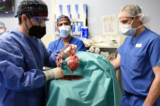 Members of the surgical team show the pig heart for transplant into patient David Bennett, Baltimore, Jan. 7, 2022.