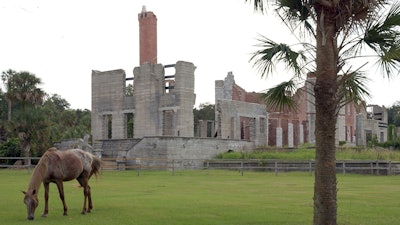 A wild horse grazes next to the ruins of the Dungeness mansion in the south end of Cumberland Island, Camden County, Ga., Sept. 20, 2008.