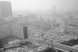 The researchers looked only at lead exposure caused by leaded gasoline, the dominant form of lead exposure from the 1940s to the late 1980s, according to data from the U.S. Geological Survey.