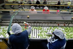 In this Feb. 5, 2020, file photo workers sort through tomatoes after they are washed before being inspected and packed, in Florida City, Fla., The surging cost of energy pushed wholesale prices up a record 11.2% last month from a year earlier — another sign that inflationary pressure is widespread in the U.S. economy. The Labor Department said Wednesday, April 13, 2022 that its producer price index — which measures inflation before it reaches consumers — climbed at the fastest year-over-year pace in records going back to 2010 and rose 1.4% from February. Energy prices, which soared after Russia’s Feb. 24 invasion of Ukraine, were up 36.7% from March 2021.
