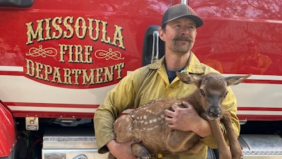 In this photo provided by Nate Sink, the Missoula, Montana-based firefighter, cradles a newborn elk calf that he encountered in a remote, fire-scarred area of the Sangre de Cristo Mountains near Mora, N.M., on Saturday, May 21, 2022. Sink says he saw no signs of the calf's mother and helped transport the abandoned baby bull to a wildlife rehabilitation center to be raised alongside a surrogate gown elk.