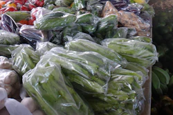 I Stock 900031044