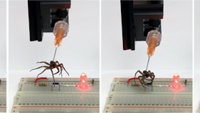 Rice University mechanical engineers have found a way to convert the bodies of deceased spiders into necrobotic grippers. Here, a gripper is used to lift a jumper and break a circuit on an electronic breadboard, turning off an LED.