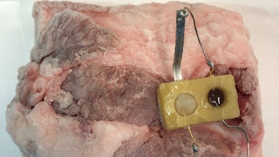 A proof-of-concept sensor designed from edible materials produces a visible color change (seen in the right circle) as a piece of frozen pork thaws.