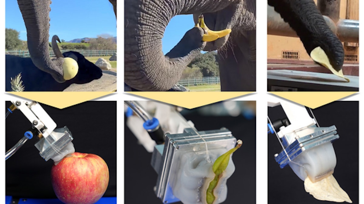 3D Printed Robotic 'Elephant Trunk' is Guided by Machine Learning
