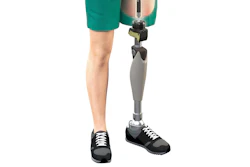 Leg