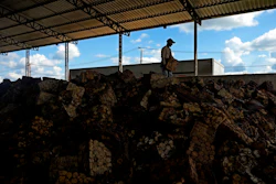 A worker transports a slab of raw rubber at a rubber industrial plant of the cooperative called Cooperacre, in Sena Madureira, Acre state, Brazil, Friday, Dec. 9, 2022.