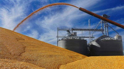 In this Sept. 23, 2015 file, photo, Central Illinois farmers deposit harvested corn on the ground outside a full grain elevator in Virginia, Ill.