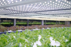 Vid2 Grand Vision 02 10