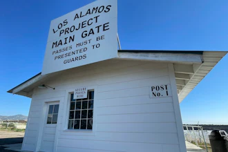 Ap23264830336414