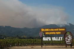 Smoke billows from a fire burning in the mountains over Napa Valley, Friday, Oct. 13, 2017, in Oakville, Calif.
