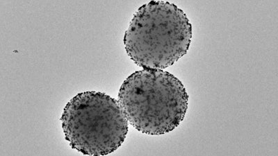 Transmission electron microscopy image of the nanorobots.