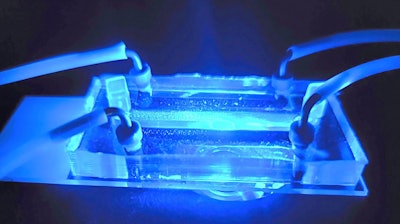 Ng20 Uc Cartilage Tissuechip