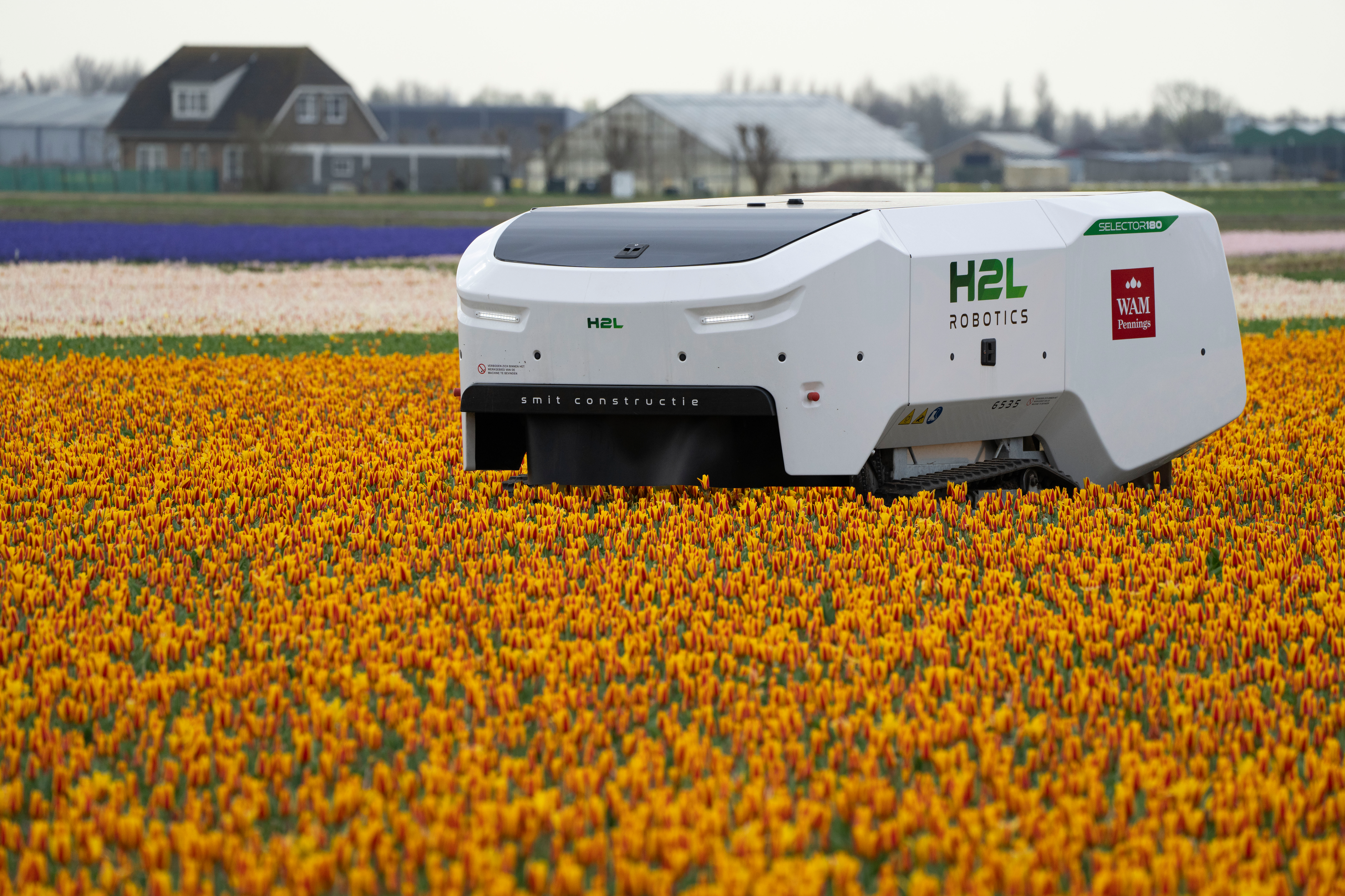 Theo the robot works weekdays, weekends and nights and never complains about a sore spine despite performing hour upon hour of what for a regular farmworker would be backbreaking work checking Dutch tulip fields for sick flowers in Noordwijkerhout, Netherlands, Tuesday, March 19, 2024.