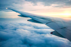 Plane wing.