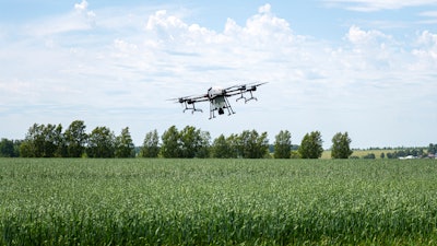 A drone flying over a field of crops.