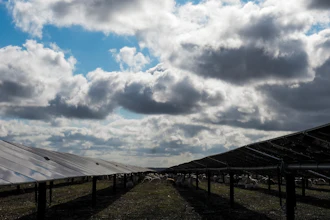 Sheep graze on a solar farm owned by SB Energy on Tuesday, Dec. 17, 2024, in Buckholts, Texas.