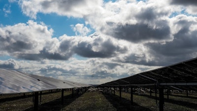 Sheep graze on a solar farm owned by SB Energy on Tuesday, Dec. 17, 2024, in Buckholts, Texas.