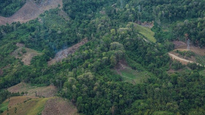 Deforestation is visible near the areas of several wood pellet production companies in Pohuwato, Gorontalo province, Indonesia, Tuesday, Oct. 22, 2024.