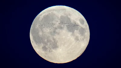 A flock of birds fly in front of the full moon over the city center in Tallinn, Estonia, Oct. 17, 2024.