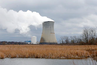 Nuclear power plant cooling tower emitting steam over wetland with brown reeds