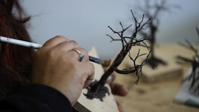 A miniature tree is painted in Pilar, Argentina, Wednesday, June 25, 2025.