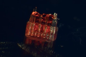 New research combines 3D printing, stem cell biology, and lab-grown tissues for possible treatments of spinal cord injuries.