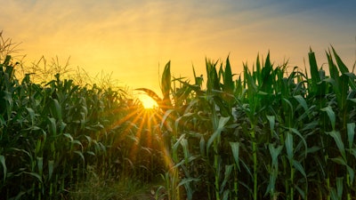 Biochar, which can be made from corn, is a versatile material.