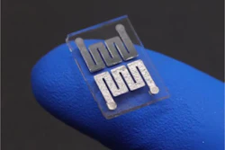 A single cell was cut and placed on the finger.