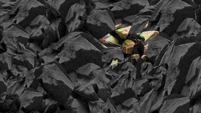 Rare Earth