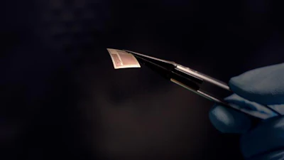 The BISC implant shown here is roughly as thick as a human hair.