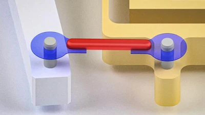 Researchers have developed artificial tendons for muscle-powered robots. They attached the rubber band-like tendons (blue) to either end of a small piece of lab-grown muscle (red), forming a “muscle-tendon unit.”