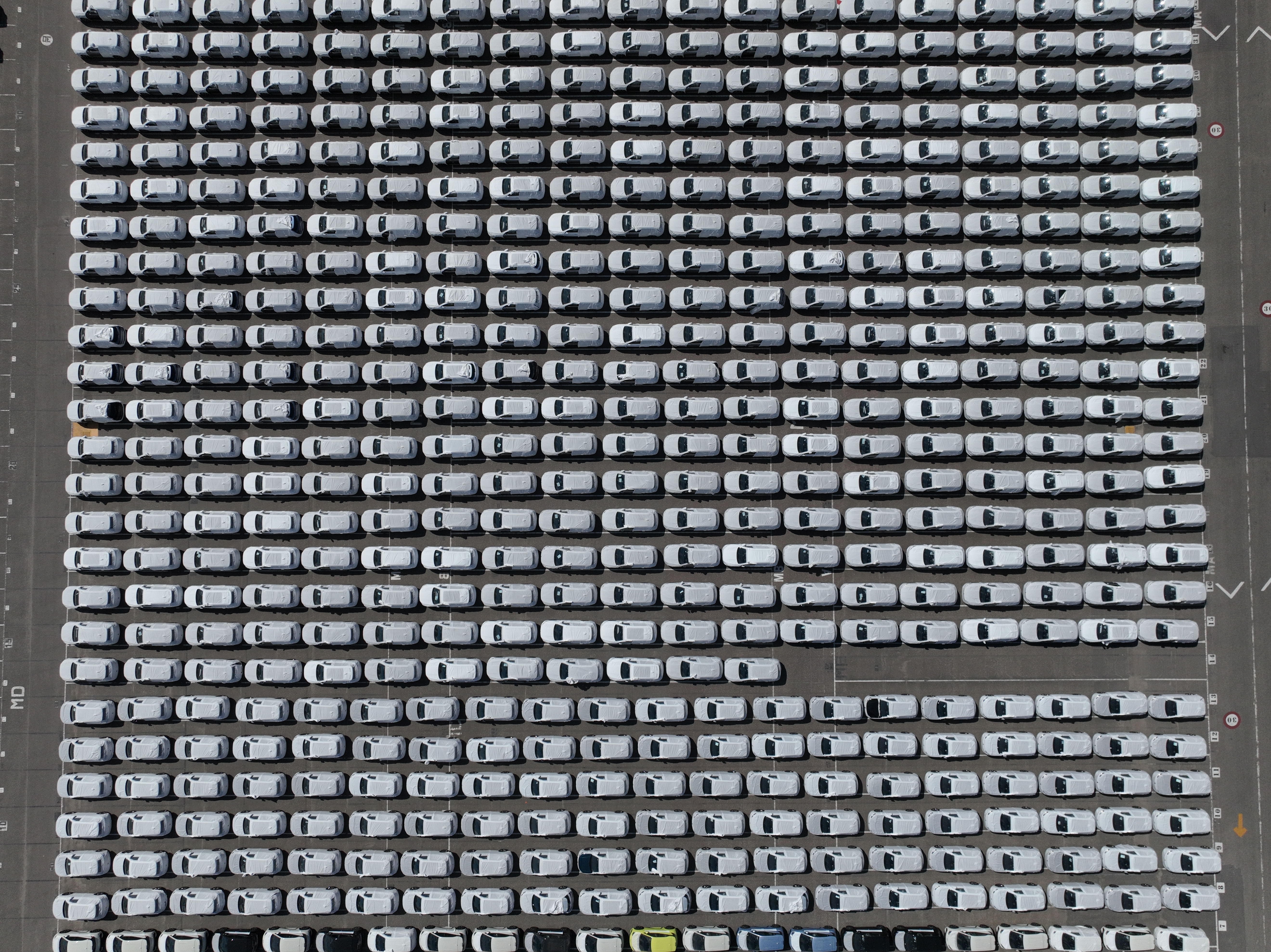 BYD hybrid and electric vehicles shipped from China are parked at Terminal Zarate in Argentina's Buenos Aires province, Tuesday, Jan. 20, 2026.