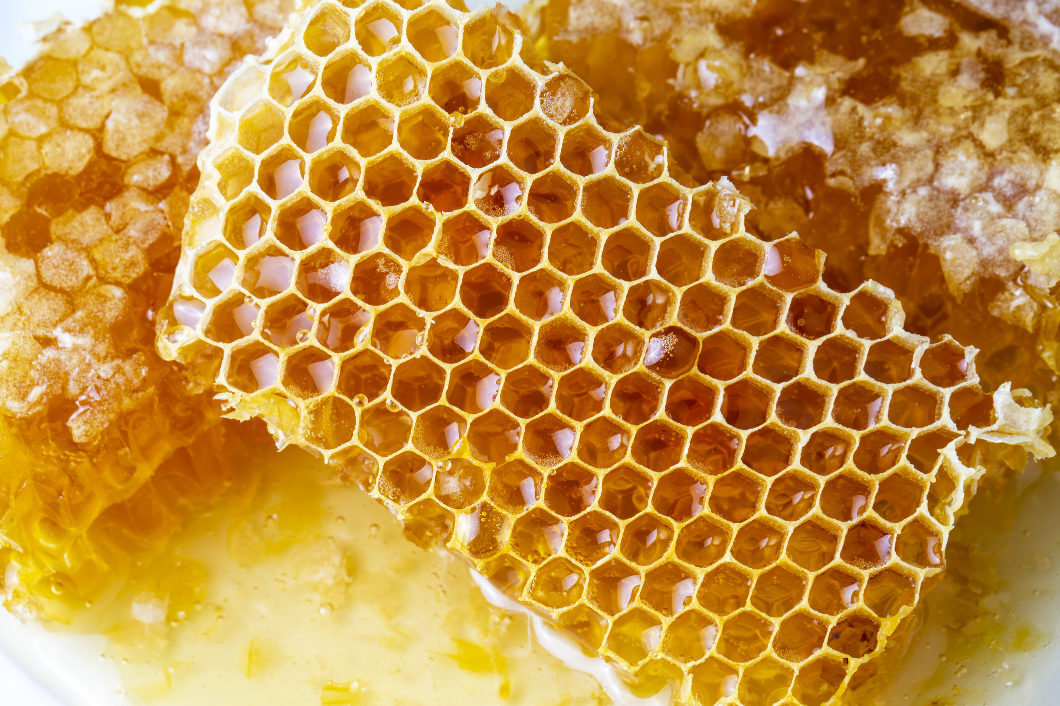 Engineers use structures found in nature &ndash; like the honeycomb &ndash; to create lightweight, sturdy materials.