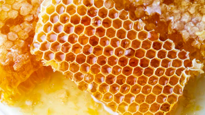 Engineers use structures found in nature – like the honeycomb – to create lightweight, sturdy materials.