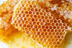 Engineers use structures found in nature – like the honeycomb – to create lightweight, sturdy materials.