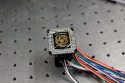 The team fit sensors built with their new field-effect transistor design onto integrated circuit boards, like the one pictured here, in order to test sensing accuracy and sensitivity.