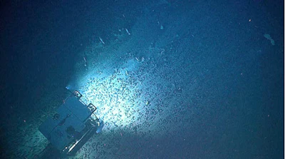 The Deep Discoverer rover explores a field of iron and manganese nodules in the North Atlantic.