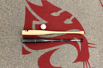 Red dragon design on gray carpet with baseball bat, wooden bat, and baseball