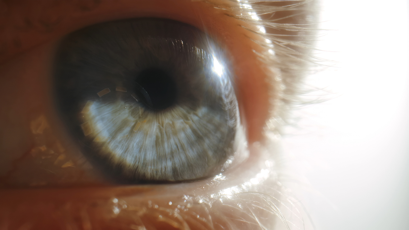 LambdaVision, Helogen Partner to Manufacture Artificial Retinas in Space