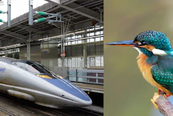 The nose of a Japanese high-speed train resembles a kingfisher’s beak.