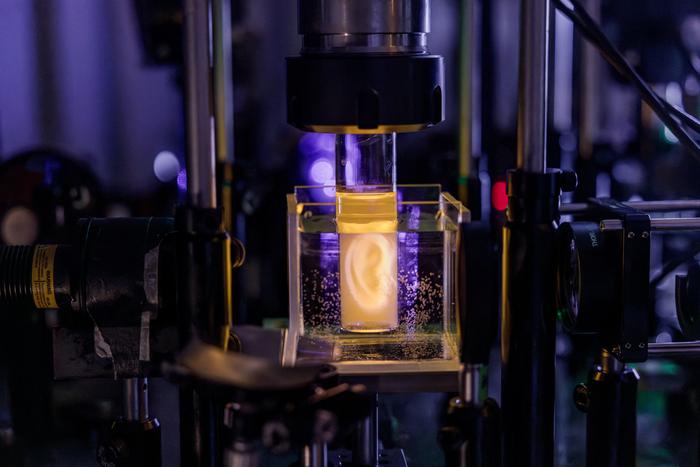 Hologram-Guided Laser Light Tech Could Be Step Toward Bioprinted Implants