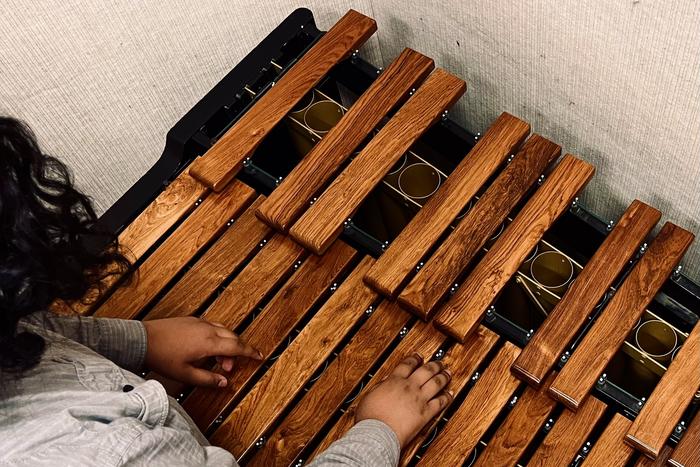 Researchers Find a Way to Build a More Affordable and Sustainable Marimba
