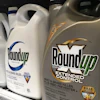 Containers of Roundup are displayed on a store shelf in San Francisco, Feb. 24, 2019.