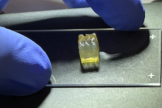 Auxilium Biotechnologies successful bioprinted kidney and liver tissues aboard the International Space Station (ISS), marking the first time either tissue type has been manufactured in space.