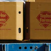 Taylor Farms boxes are loaded on a field in the town of Doctor Mora, Guanajuato, Mexico, March 26, 2008.