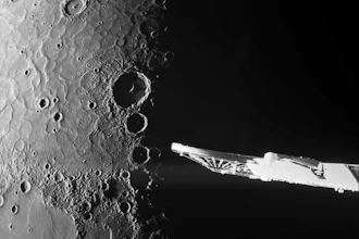 Ap26245596817529