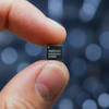 MintNeuro microchip held between fingertips displaying model number MN200816-RA