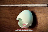 Broken eggshell on wooden surface revealing manufacturing-related graphic inside
